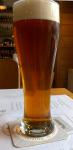 Falkenstejn - jarni ale 14°,  sklenice piva Falkenstejn - jarni ale