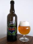 Albrechticke pivo - Pacific waves, west coast APA lahev a sklenice