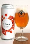 Obora - IPA hloh infuse 15°, IPA s hlohem perenoklanym plechovka a sklenice